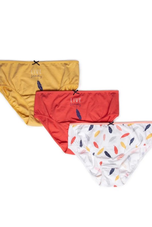 Dámské kalhotky BIKINI L-122BIB-38 3-pack