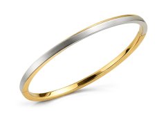 Boccia Titanium Pevný titanový náramek 03011-02