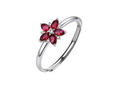 Brosway Stříbrný nastavitelný prsten Fancy Passion Ruby FPR151