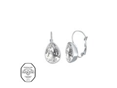 CRYSTalp Nádherné visací náušnice s&nbsp;krystalem Swarovski Sundrop 42271.CRY.E