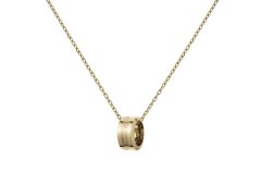 Daniel Wellington Fashion pozlacený náhrdelník s kruhovým přívěskem Elan DW00400515