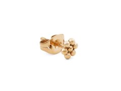 Daniel Wellington Pozlacená single náušnice Květina DW00400863