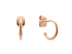 Daniel Wellington Pozlacené kruhové náušnice Charms DW00400767