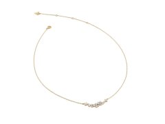 Guess Pozlacený náhrdelník se zirkony Jardin JSBN04460JWYGT/U