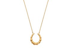 Hot Diamonds Elegantní pozlacený náhrdelník s diamantem Golden Edit Hope DN215