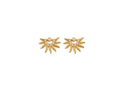 Hot Diamonds Třpytivé pozlacené náušnice SOL DE897