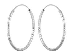 JVD Stříbrné náušnice kruhy SVLE0204XD500 3,5 cm