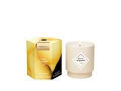 My Jolie Candle Vonná svíčka 36h s náramkem Gold Les Surprenantes Citronový bergamot 320280