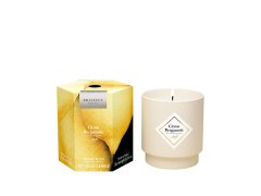 My Jolie Candle Vonná svíčka 36h s náramkem Silver Les Surprenantes Citronový bergamot 320287