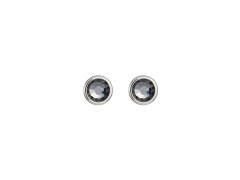 Preciosa Náušnice Carlyn s&nbsp;krystalem Chrom 7235 40