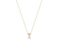 Rosato Elegantní pozlacený náhrdelník Azzurra RZAZ005