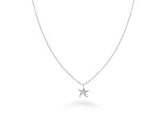 Rosefield Ocelový náhrdelník s mořskou hvězdicí Essentials JNSNS-J831