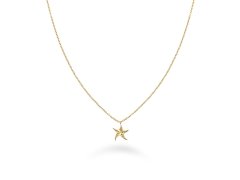 Rosefield Pozlacený náhrdelník s mořskou hvězdicí Essentials JNSNG-J830