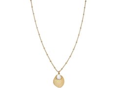 Rosefield Pozlacený ocelový náhrdelník s mušlí Amber JSPNG-J159