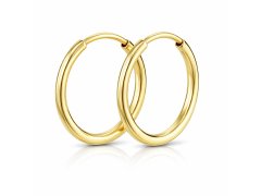 Soliter Náušnice zlaté kruhy 231 001 00487