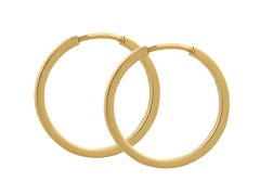 Soliter Zlaté náušnice kruhy 231 001 00199