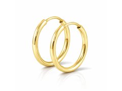 Soliter Zlaté náušnice kruhy 231 001 00333