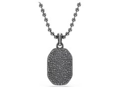 Swarovski Stylový pánský náhrdelník s&nbsp;krystaly Dextera 5724595