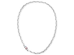 Tommy Hilfiger Nepřehlédnutelný pánský náhrdelník Men`s Chain 2790745