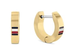 Tommy Hilfiger Pozlacené kruhové náušnice Men`s Earrings 2790586