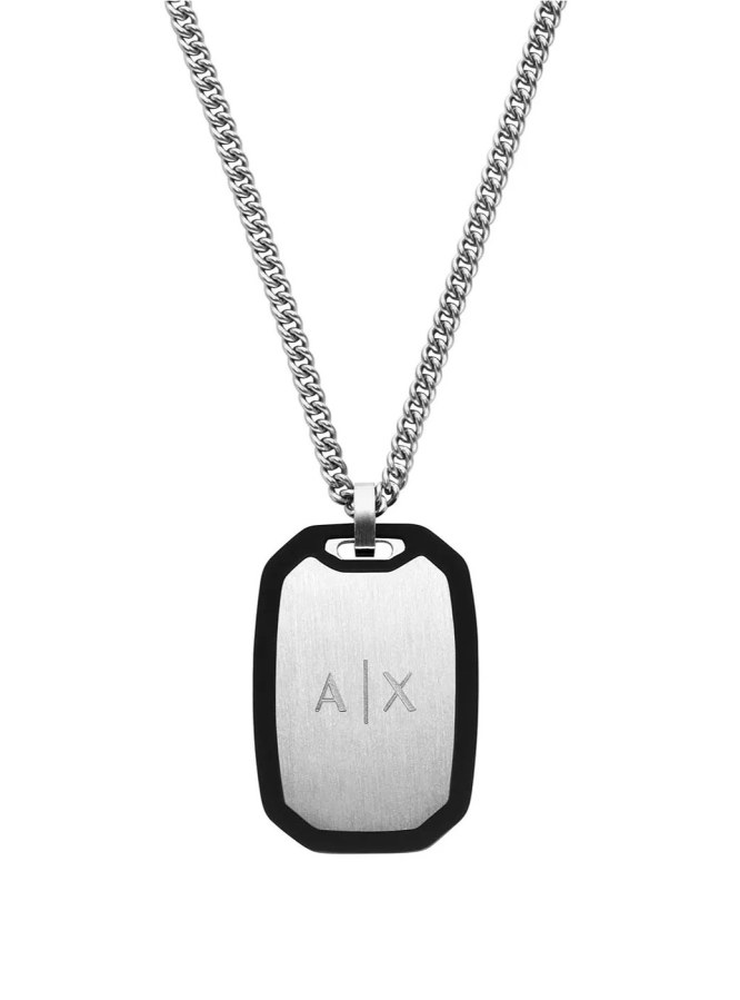 Armani Exchange Pánský náhrdelník z oceli Psí známka AXG0169040