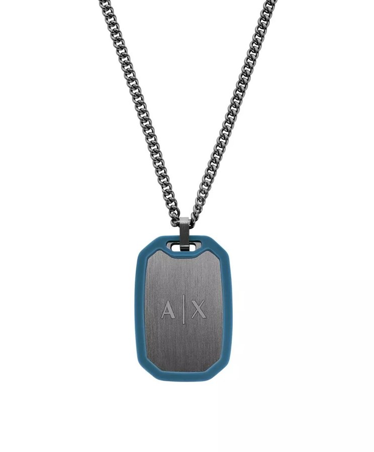 Armani Exchange Ocelový náhrdelník pro muže Psí známka AXG0171060