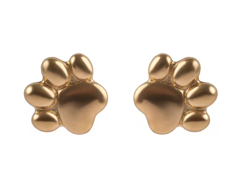 Emily Westwood Pozlacené náušnice Tlapky Ysolde EWE250383G - Náušnice Pecky