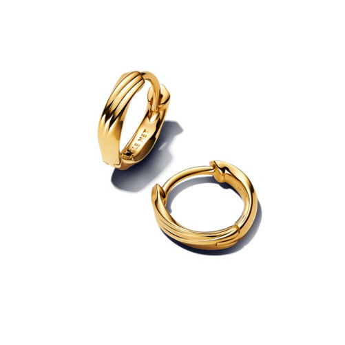 Pandora Kroucené malé kruhové náušnice Essence Shine 263871C00 - Náušnice Kruhy