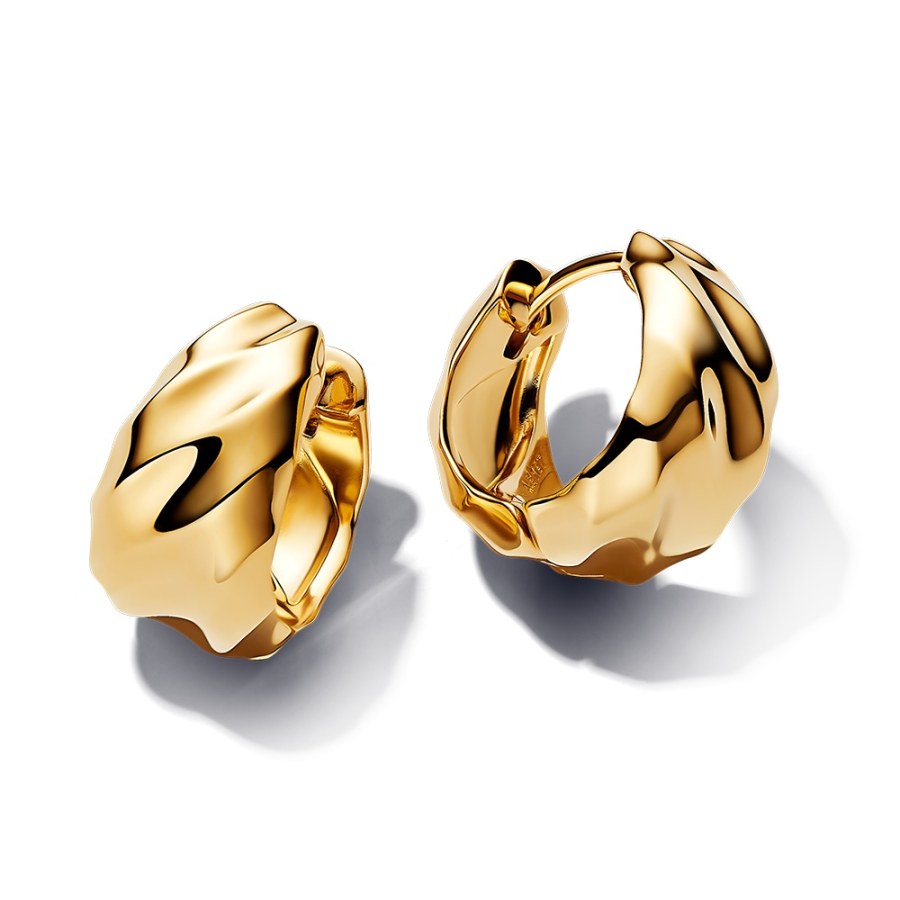 Pandora Pozlacené kruhové náušnice Essence Shine 263874C00 Pandora Pozlacené kruhové náušnice Essence Shine 263874C00 - Náušnice Kruhy