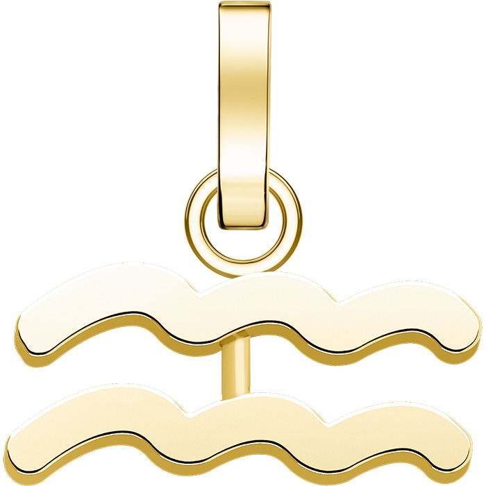Rosefield Ocelový přívěsek Vodnář The Pendant PE-Gold-Aquarius-S - Náramky Přívěsky na náramky