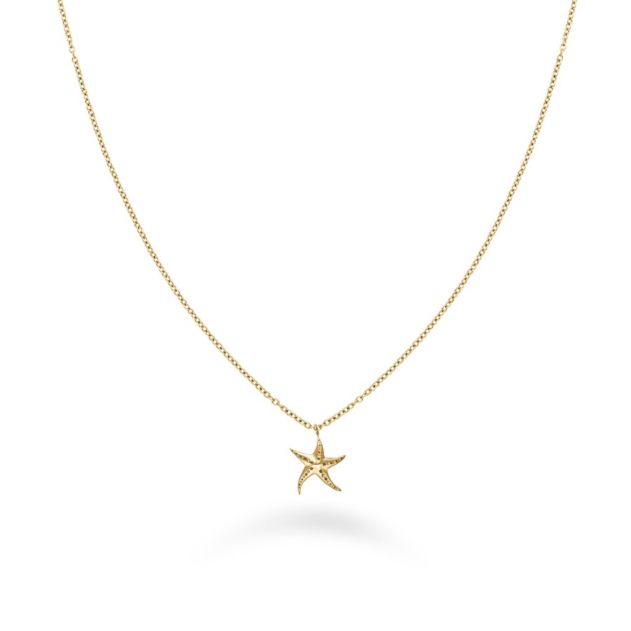 Rosefield Pozlacený náhrdelník s mořskou hvězdicí Essentials JNSNG-J830 - Náhrdelníky