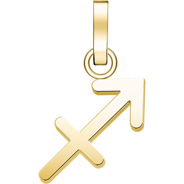 Rosefield Pozlacený přívěsek Střelec The Pendant PE-Gold-Sagittarius-S - Náramky Přívěsky na náramky