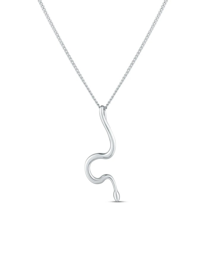 Vuch Ocelový náhrdelník s&nbsp;přívěskem hada Vireya Silver - Náhrdelníky