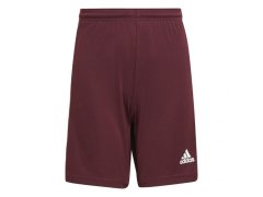 Squadra 21 Short Jr GN8081 - Adidas