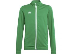 Entrada 22 Jr dětská mikina HI2138 - Adidas