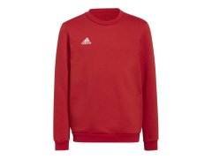 Entrada 22 Sweat Jr dětská mikina H57473 - Adidas