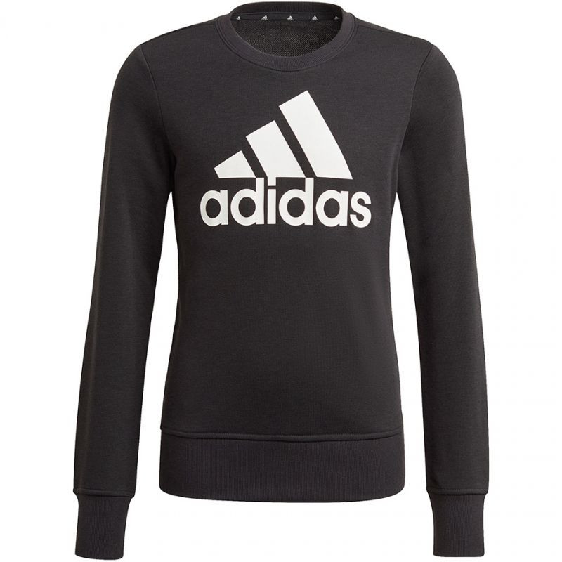 Dětská mikina Essentials Big Logo Jr GP0040 - Adidas - Pro děti mikiny