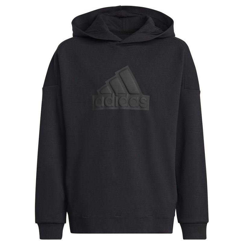 Mikina adidas FI Logo HD Jr HR6301 - Pro děti mikiny