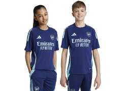 Tričko adidas Arsenal London TR JSY Jr IT2203