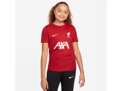 Nike Liverpool FC DF Academy Pro SS Top Jr Shirt FQ2753-688