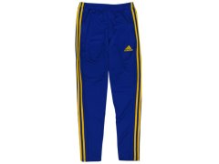 Kalhoty adidas MT 18 Training M CE7404