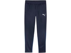 Puma Team Goal Training M kalhoty 658639 06