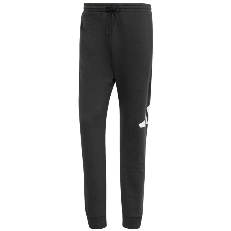 Kalhoty adidas Essentials Big Logo French Terry M IN6163