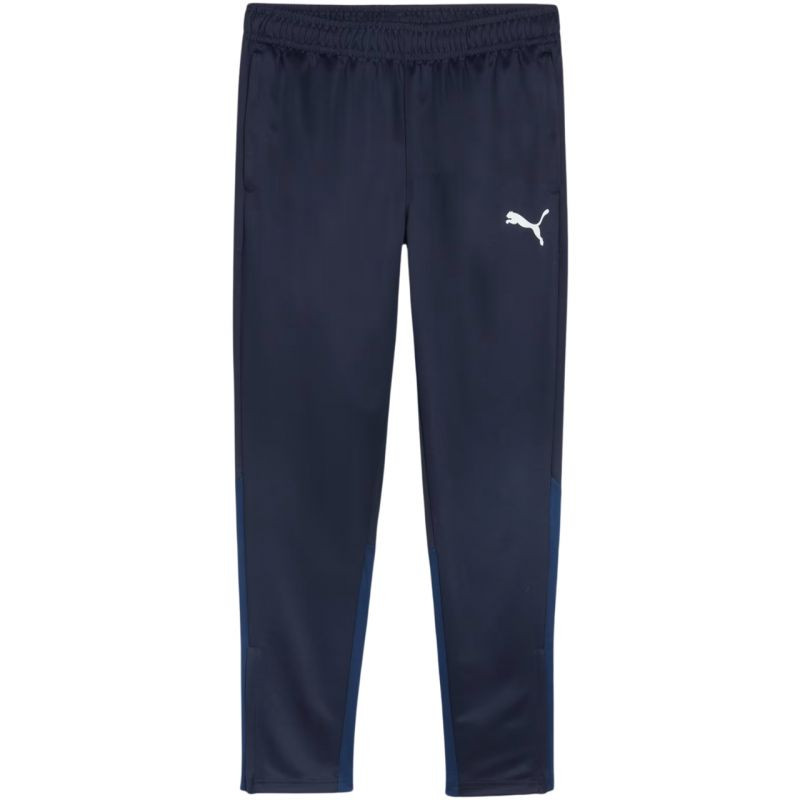 Puma Team Goal Training M kalhoty 658639 06
