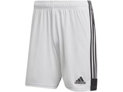 Šortky adidas Tastigo 19 M DP3247