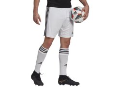 Pánské šortky Squadra 21 Short GN5773 - Adidas