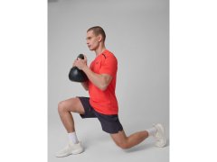 Pánské rychleschnoucí tréninkové šortky 4F 4FRSS26TFSHM1660-23S