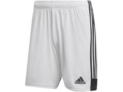 Šortky adidas Tastigo 19 M DP3247