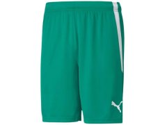 Šortky Puma teamLiga M 704924 05