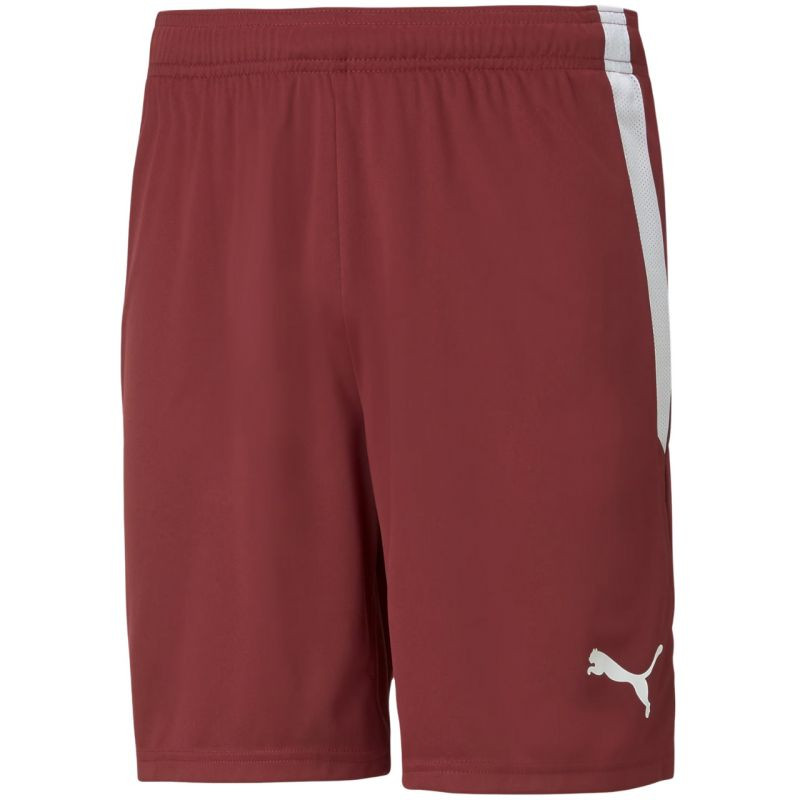 Puma teamLIGA M 704924 09 šortky - Pro muže pro muže kraťasy